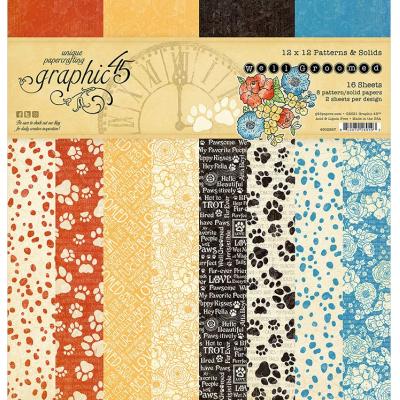 Graphic 45 Well Groomed Designpapier - Patterns & Solids Paper Pad